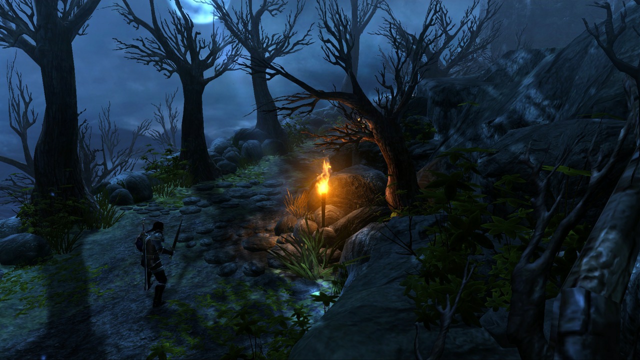 Dungeon Siege III - Imagen 20